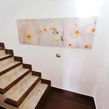Aparthotel No Apartment On The Sea Sun Club Playa Del Aguila Maspalomas Gran Canaria